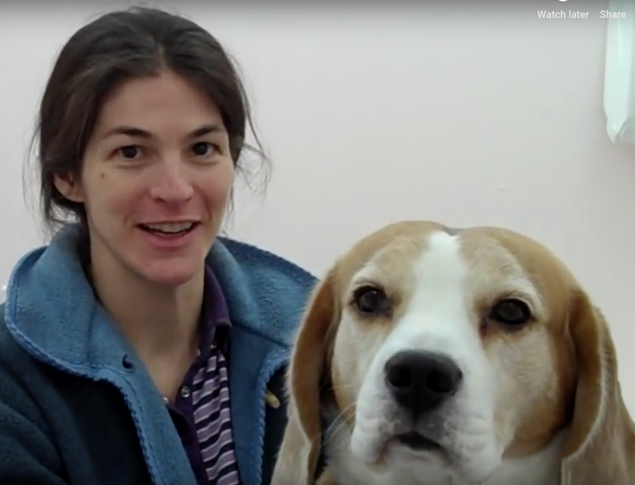 Genève vétérinaire de garde, Veterinaire de Garde Nyon, Veterinaire Nyon, Vétérinaire de Garde, Vétérinaire urgence Nyon, Veterinaire de Garde Geneve, Vétérinaire de Garde Genève