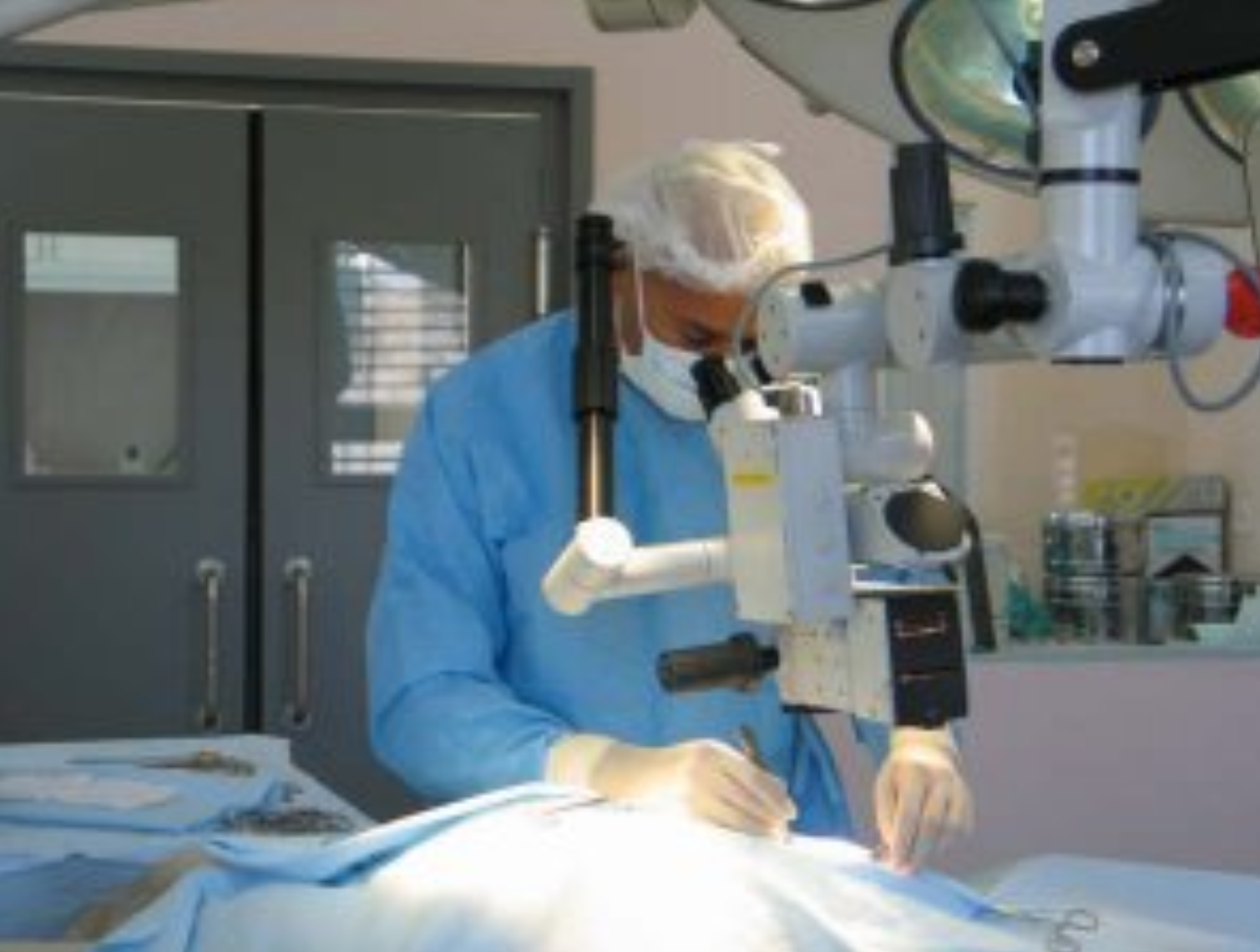 Dr. Omaboe, Vétérinaire Nyon, Veterinaire Nyon, Nyon Veterinaire, Nyon Vétérinaire, cabinet vétérinaire Nyon, cabinet veterinaire Nyon, clinique vétérinaire Nyon, vétérinaire de Garde Nyon,veterinaire de Garde Nyon, Cabinet Vétérinaire International