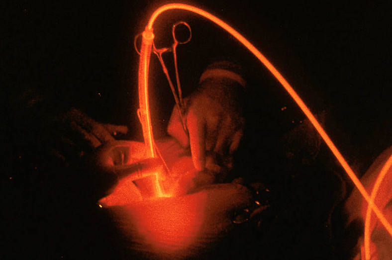 Vétérinaire Nyon, Veterinaire Nyon, Nyon Veterinaire, Nyon Vétérinaire, cabinet vétérinaire Nyon, cabinet veterinaire Nyon, clinique vétérinaire Nyon, vétérinaire de Garde Nyon,veterinaire de Garde Nyon, Cabinet Vétérinaire International